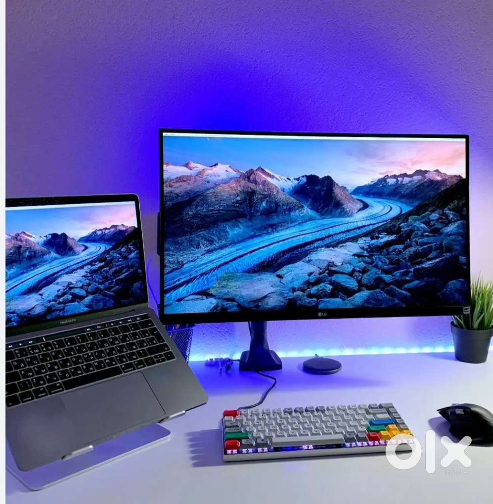 Office Support cum Telle Executive