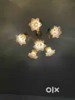 Warm light Chandelier