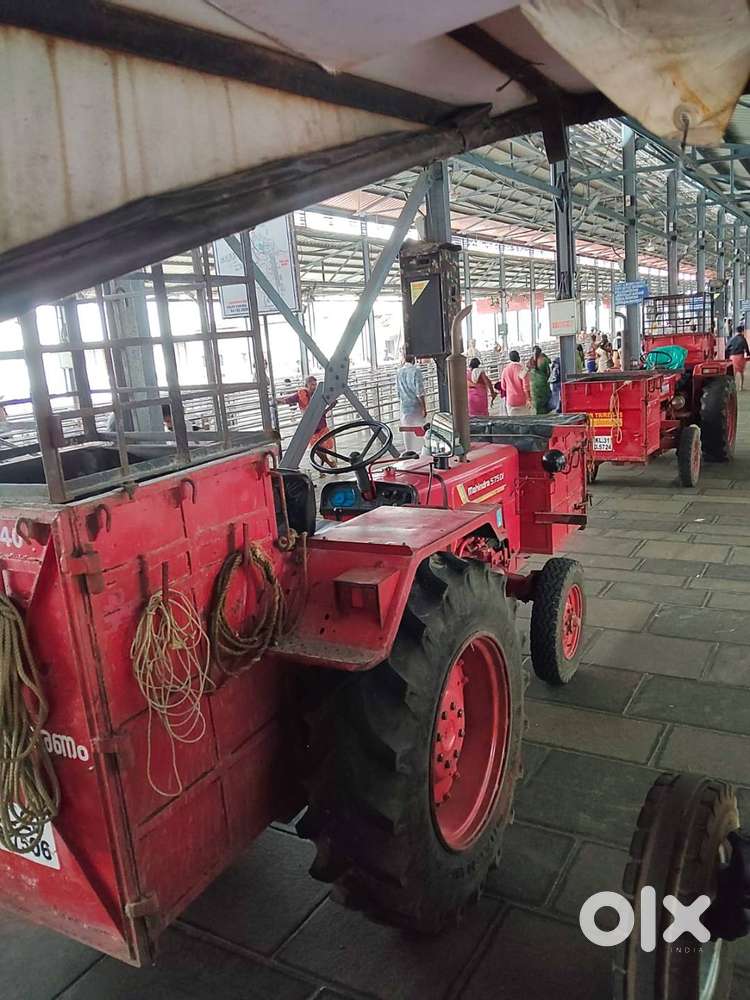 Wanted male vegetarian cook.