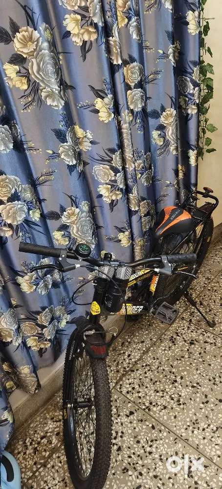 Stryder bycycle