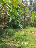 House plots 5 cent to
