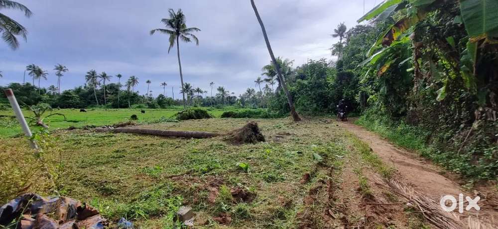 Residential land for  those seeking a healthy, stress-Free life.