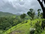10.5 ACRES LAND FOR SALE AT POLADPUR