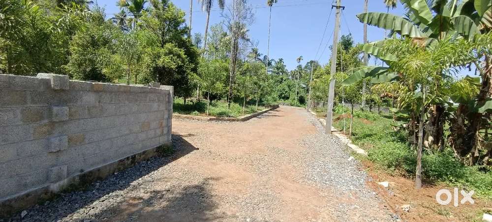5,6,8, 10, 20, CENT PLOTS ചാലക്കുടി മേലൂർ പള്ളിക് സമീപം ബസ്സ് റൂട്ടിൽ