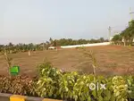 Peddapuram North and South