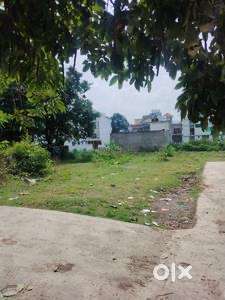 Pure raiti plot for sale in Duhatand 2 kattha