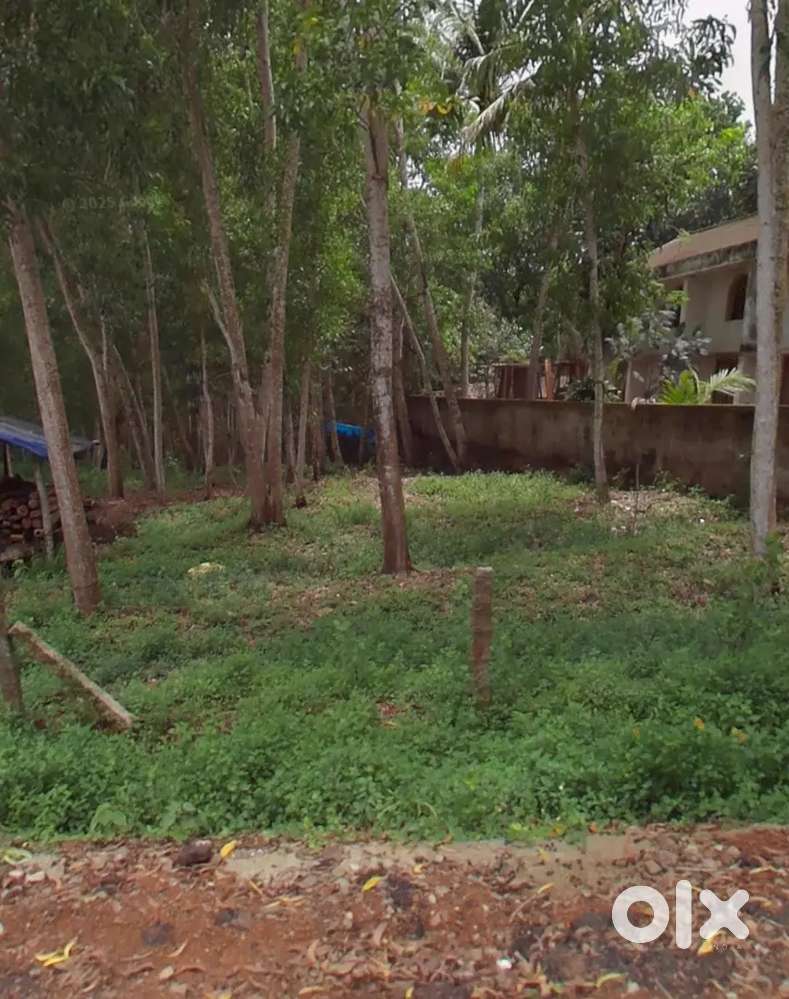 4.5 cent land for sale