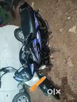 Kasaragod kudal