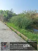 Everything is nearest from land like hospital, market, bus,auto stand
