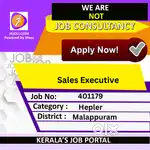 Sales Executive - [401179]