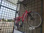 Cycle for 10 years kid