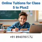 Offline and online tutions
