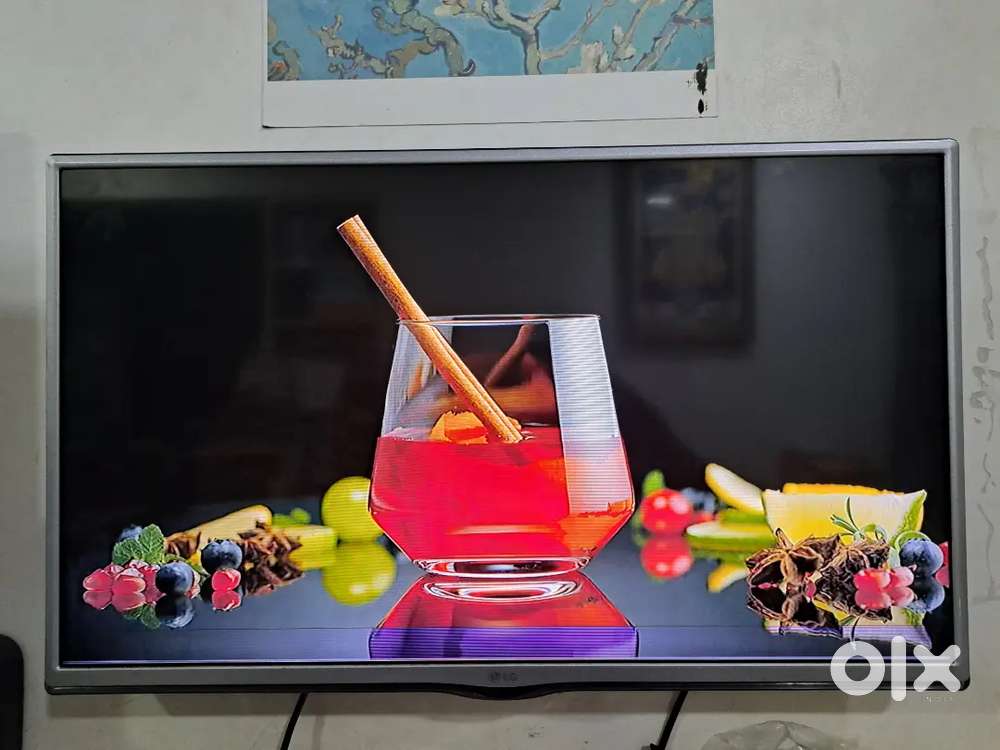 LG 28 inch TV 1 inch Lines at Bottom