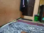 Roommate Required