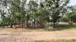 Bastu land of area 5950 square foot