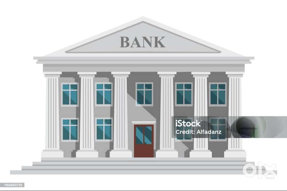 freshers graduates only