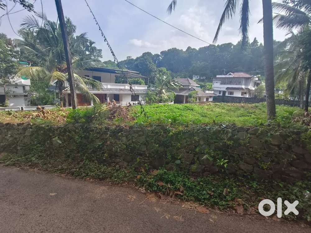 Kanjirapally.20 cent house plot.1.90 .lakh. cent.