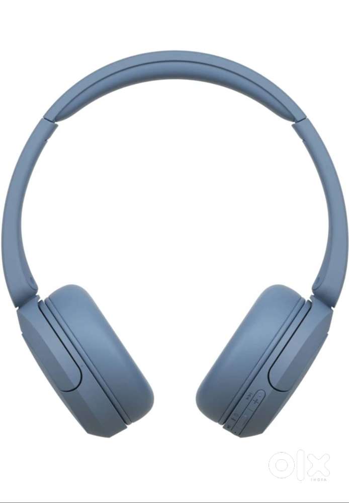 Sony headphone  with case