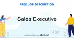Sales and Delivery Executive