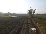 Farmland available for sale near Amtala Gabberia