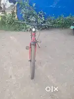 Capture bicycle 30 days use on condition is OK.