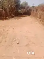 VIP Road Best plot