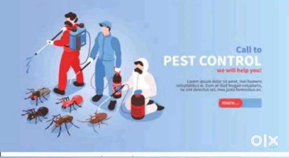 Pest control technicians in Hyderabad