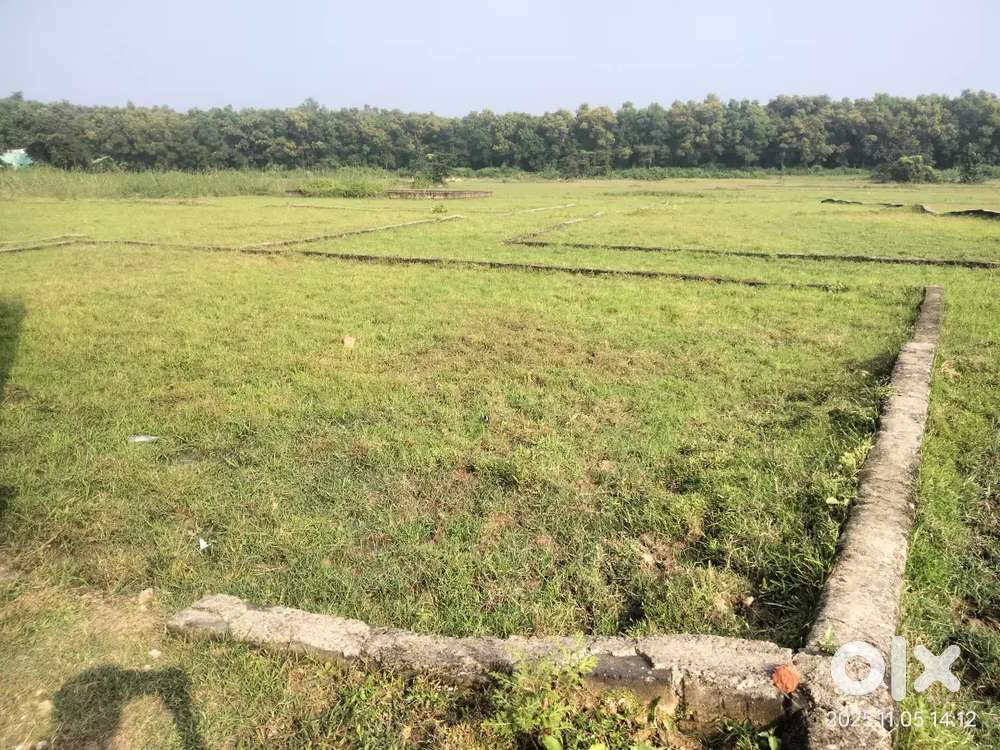 Sristinagar, Fuljhore plot Available.