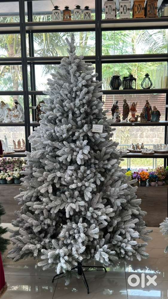 Sales girls required