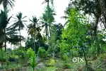 Smart farmland investment – income, nature, security, and prosperity.