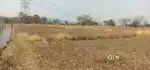 Agreeculture land