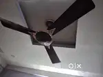 Crompton Ceiling Fans