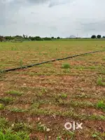 Looking for experienced farmer
