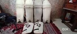 Cricket kit