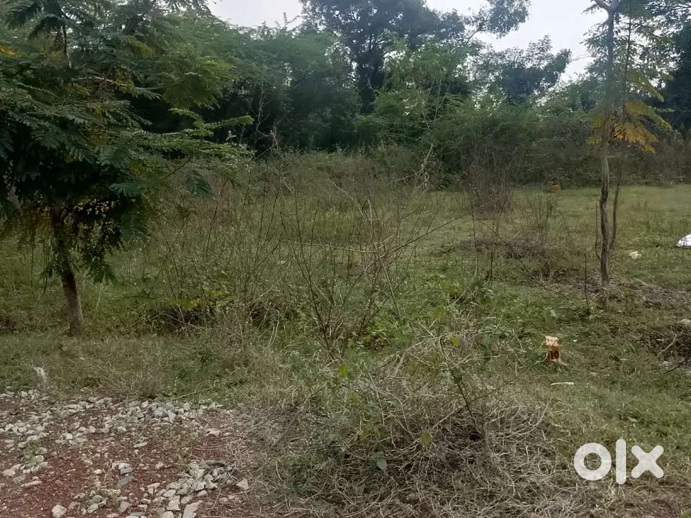 CMDA Approved plot for sale in Thirunindravur balaji garden Annex