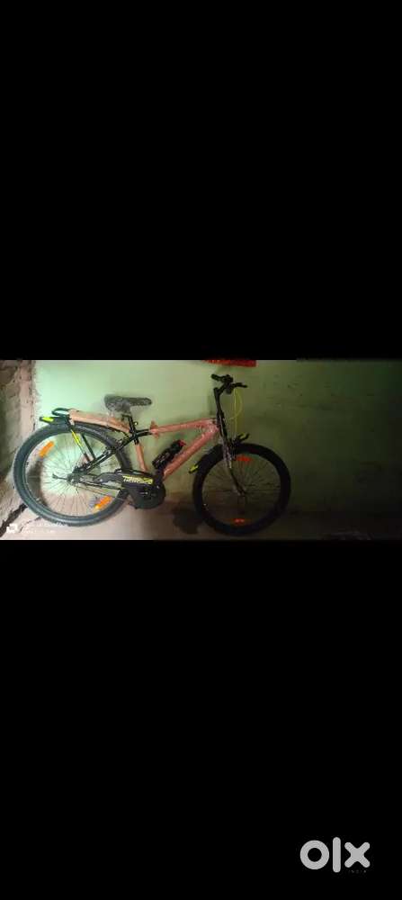 Cycle  for students