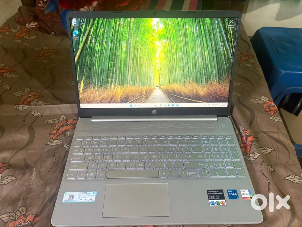 Hp 15 laptop ,windows 11