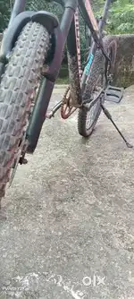 Bicycle 2 year old