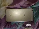 Vivo  brand