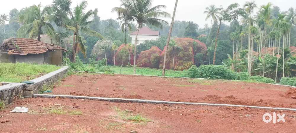 ANGAMALY PULIYANAM JUNCTION 4,5, 7, 10 CENT PLOTS AVAILABLE