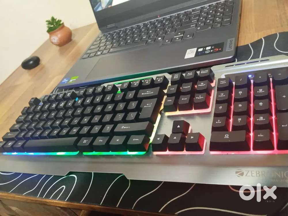 Transform Zebronics keyboard