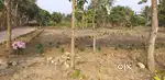 Luxury Plots near AIIMS on 6 Lane Kalyani Expressway