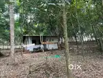 4.16 & 1.76 Acre land for sale (Rubber Plantation)