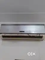 He is very good condition