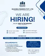 Business Development Executive