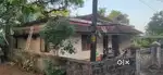 Plot for sale 14 cent near medical college