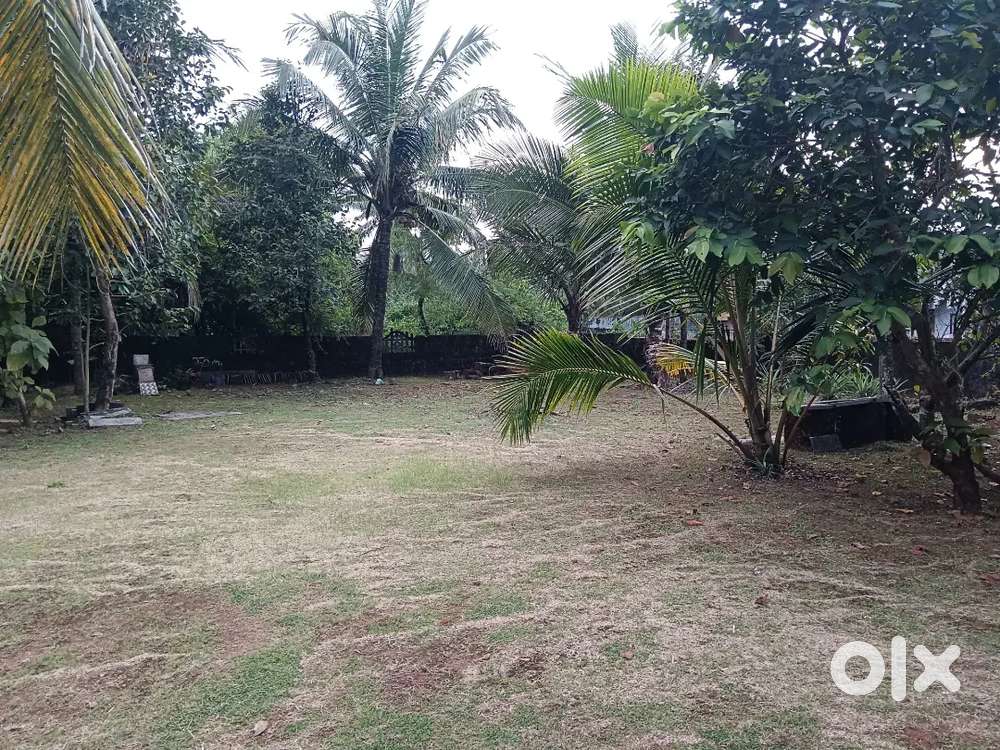 11cents land close to bus route kumpala village mangaluru karnataka