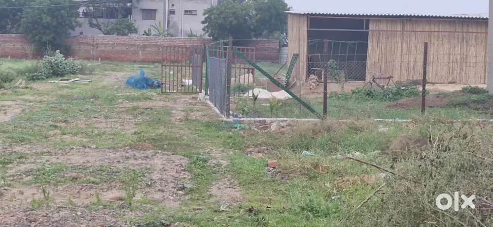 Najafgarh Mitraon EXTN.