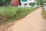 House plot 7.25 cents near main road Amalagiri-University 3.75 lakh/ce
