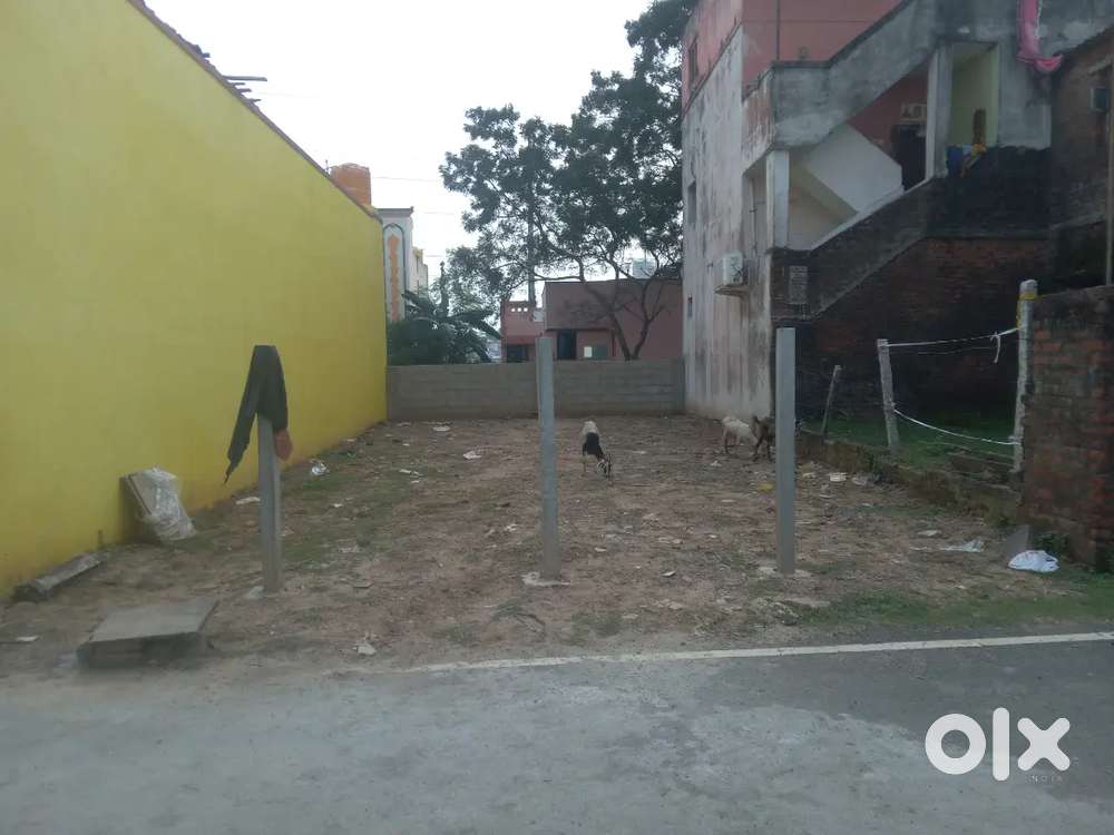 @Thiruverkadu land for sale